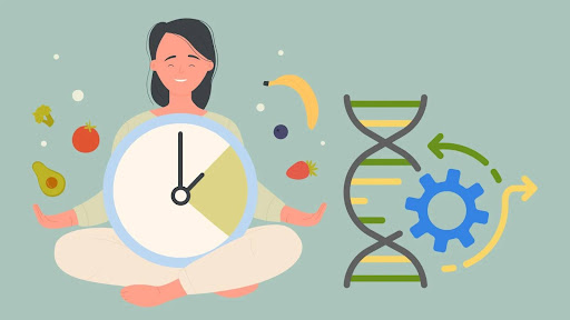 Tools for Longevity