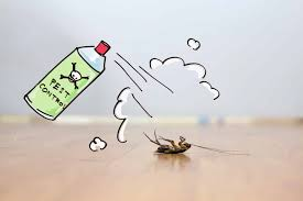 Key Indicators You May Need an Exterminator in Irvine Homes Sooner Than You Think