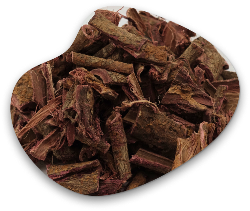 Exploring the Ancient Wisdom of Tenuiflora Root Bark