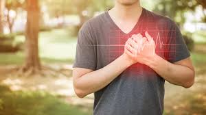 5 Unexpected Tools That Boost Cardiovascular Wellness in Utah