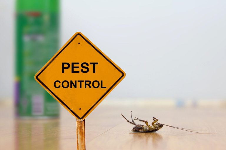 Pest Control Services: Protect Your Home with Expert Solutions