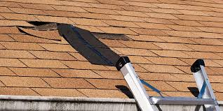 What Emergency Roof Repair Services Does a Roofing Company in Boise Provide?