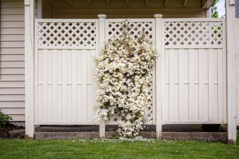 A Complete Guide to Vinyl Fence Options for Your Home