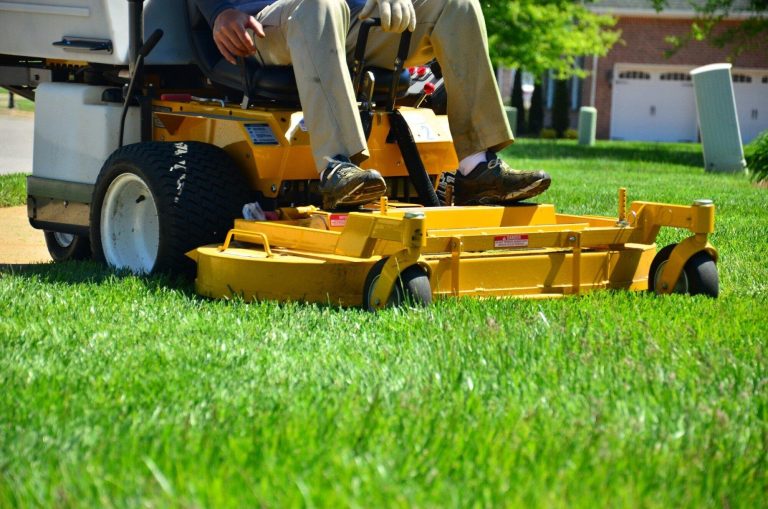 Keep Your Yard Pristine with Expert Lawn Maintenance
