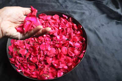 How Rose Petals Add Beauty to Your Daily Life