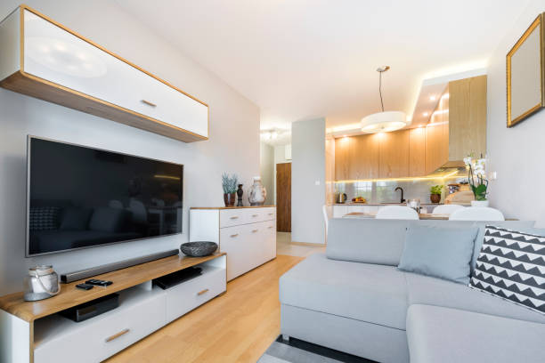 What Should You Look for When Choosing a TV Stand for Your Living Room?