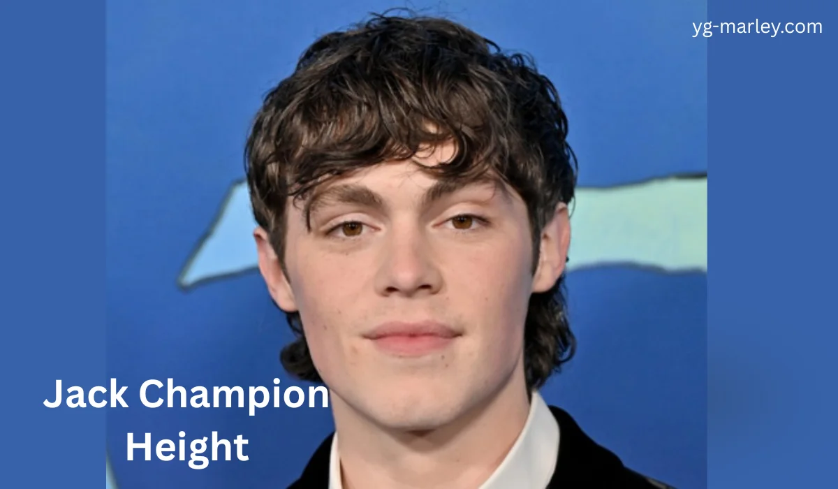 Jack Champion Height