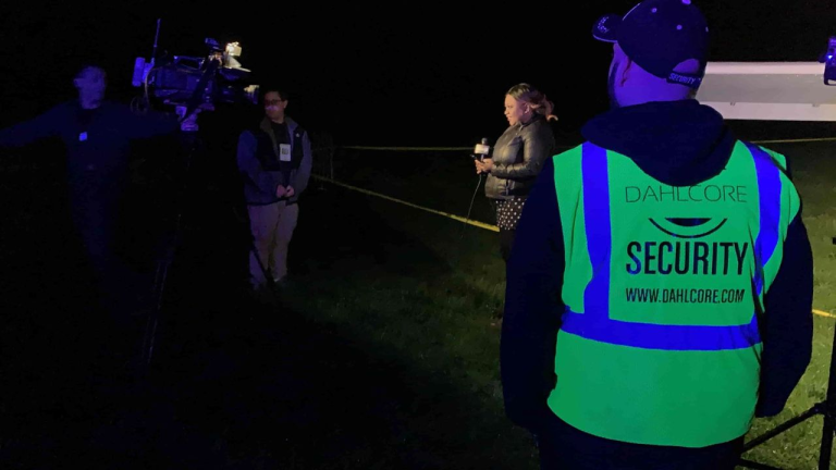 Enhancing Business Resilience with Sector Security Services