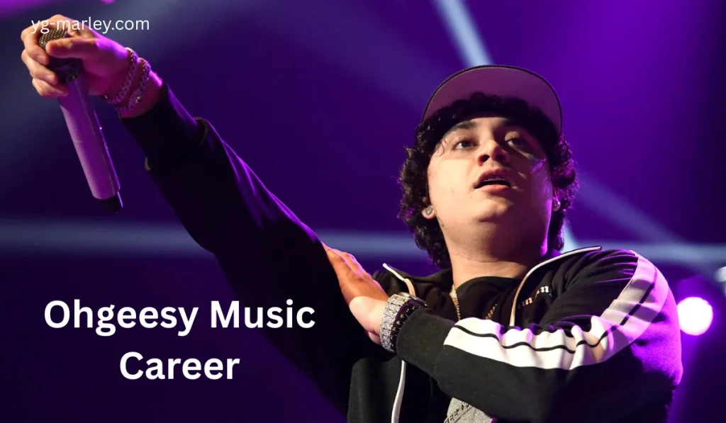 Ohgeesy Net Worth
