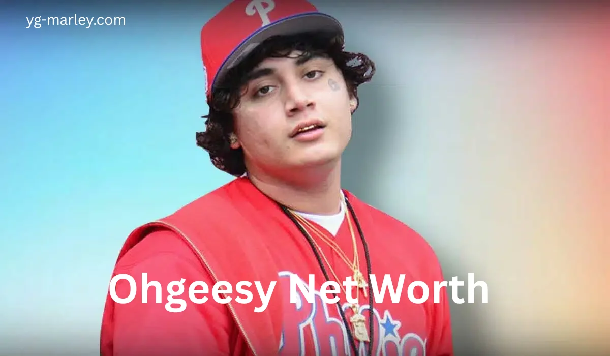 Ohgeesy Net Worth