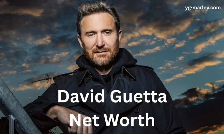 David Guetta Net Worth
