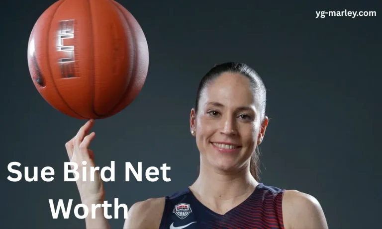 Sue Bird Net Worth