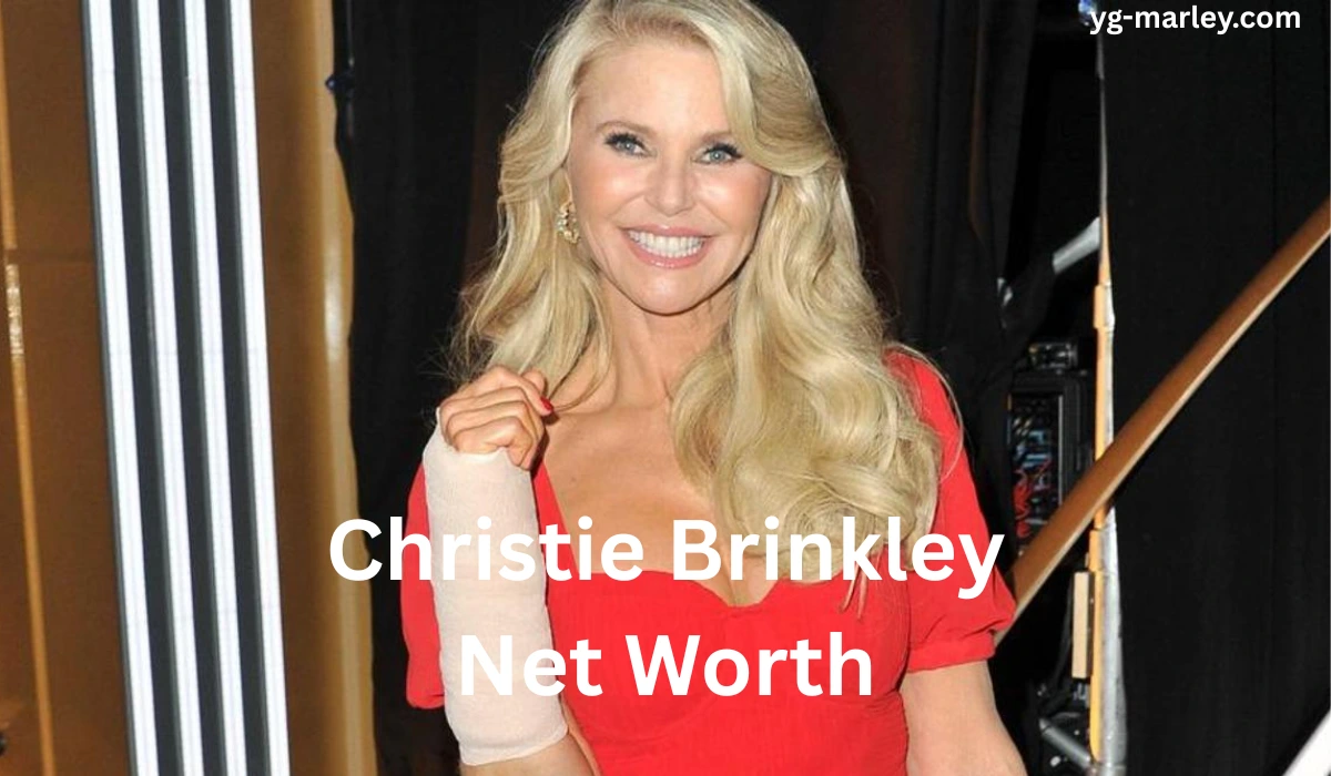 Christie Brinkley Net Worth