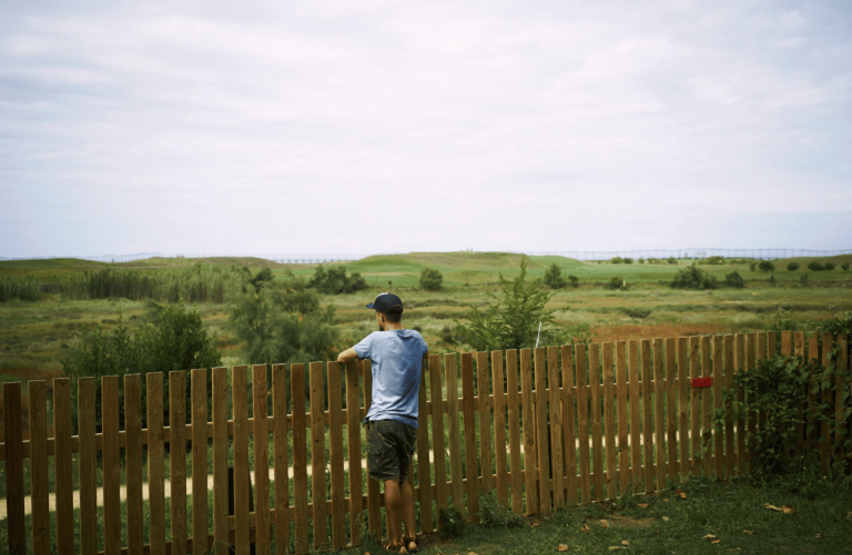 Questions Worth Asking Before You Hire Anyone To Build A Backyard Fence