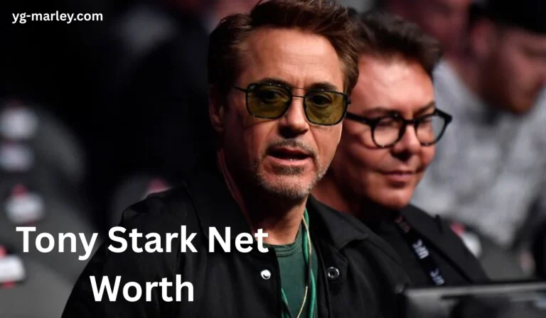 Tony Stark Net Worth